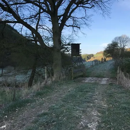Ferienhaus-lederbach-eifel *