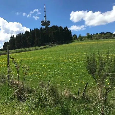 Holiday home Ferienhaus-lederbach-eifel Hohenleimbach
