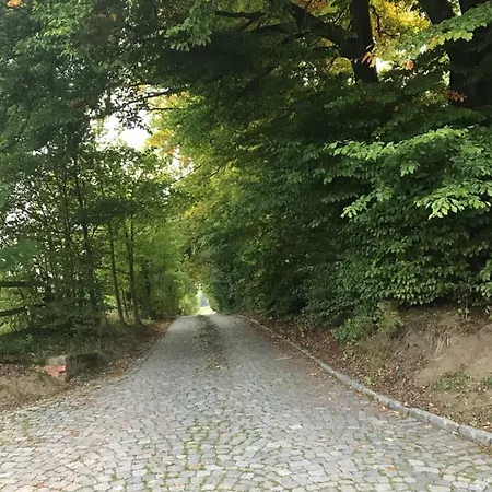 Ferienhaus-lederbach-eifel